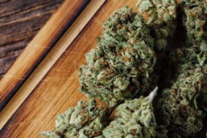 What Are Terpines & Why Do They Matter? 5 close-up dried cannabis flowers