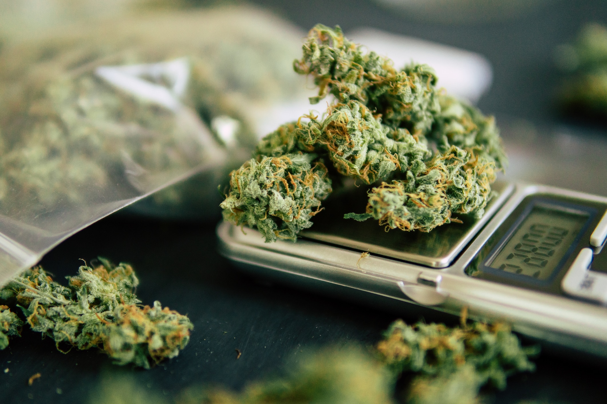 Cones of cannabis flowers weed lie on the scales close up top view close up